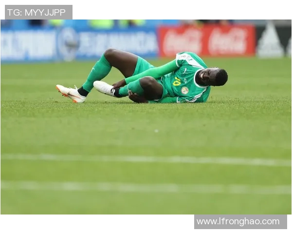 塞内加尔足球队的辉煌历程与未来发展展望